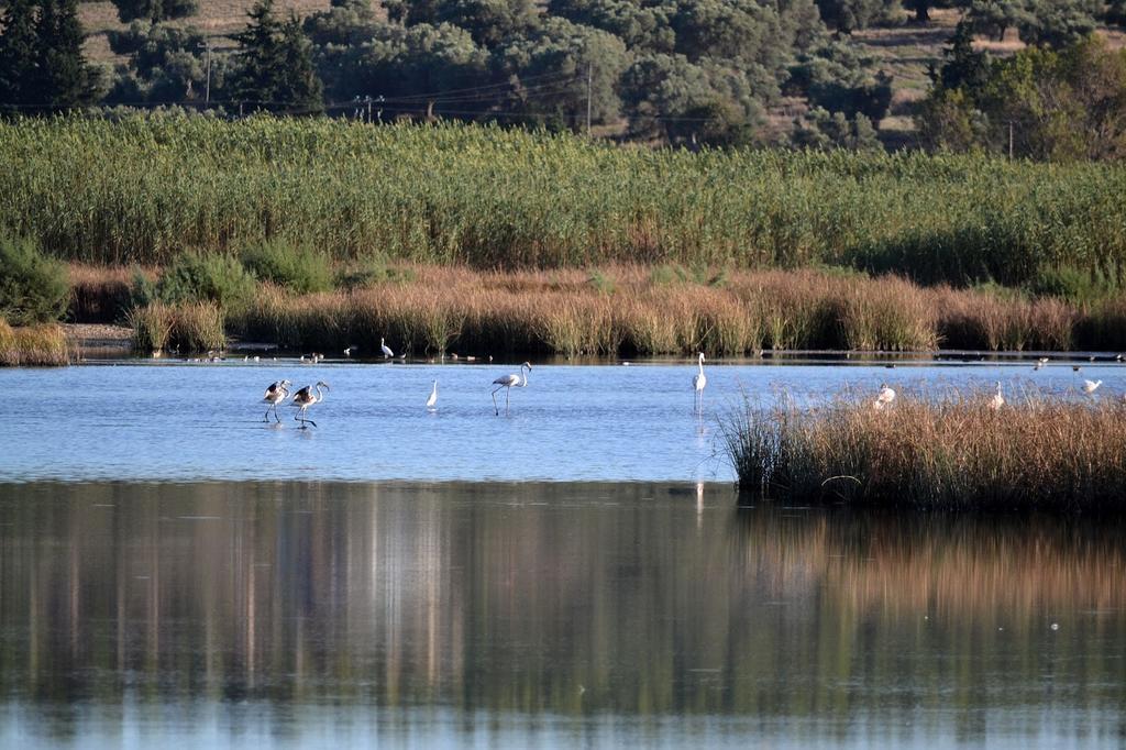 S4Sani Villa Sani  Dış mekan fotoğraf